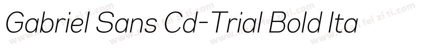 Gabriel Sans Cd-Trial Bold Italic字体转换